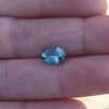 1.59ct TEAL BLUE OVAL MONTANA SAPPHIRE