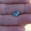 1.59ct TEAL BLUE OVAL MONTANA SAPPHIRE