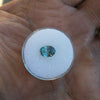 1.59ct TEAL BLUE OVAL MONTANA SAPPHIRE