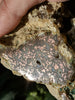 1lb 14oz INCREDIBLY RARE DENDRITE NATIVE COPPER SPECIMEN - Blaze-N-Gems