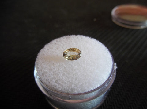 0.64ct LIGHT CHAMPAGNE YELLOW MONTANA SAPPHIRE - Blaze-N-Gems