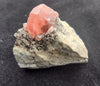 21.7 G RHODOCHROSITE CLUSTER ON MANGANESE