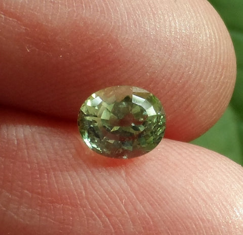 1.17cts. GREEN MONTANA SAPPHIRE - Blaze-N-Gems