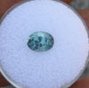 1.43ct. KASHMIR SAPPHIRE, UNHEATED LEVI BLUE - Blaze-N-Gems