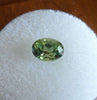 1.50 cts. RARE, OLIVE GREEN COLOR MONTANA SAPPHIRE - Blaze-N-Gems