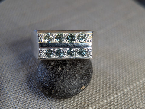 13.76g SILVER MONTANA SAPPHIRE RING SIZE 11
