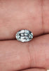 1.33 cts. SPARKLING GREEN/BLUE MONTANA SAPPHIRE