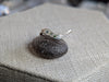 3.03g SILVER MONTANA SAPPHIRE RING SIZE 7.5
