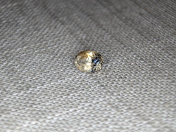 1.46CT GORGEOUS CHAMPAGNE OVAL