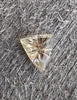 3.12ct YELLOW FANTASY CUT NATURAL MONTANA SAPPHIRE