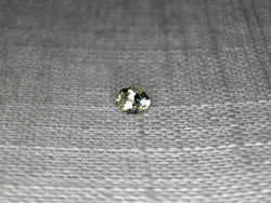 0.67ct GREEN OVAL MONTANA SAPPHIRE