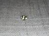 0.67ct GREEN OVAL MONTANA SAPPHIRE