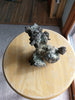 5.75lbs Copper/silver half breed - Blaze-N-Gems