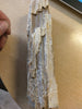 700g PETRIFIED WOOD - Blaze-N-Gems