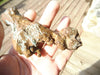 1lb 0.75oz NATURAL CRYSTAL COPPER SPECIMEN - Blaze-N-Gems