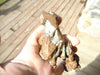 1lb 0.75oz NATURAL CRYSTAL COPPER SPECIMEN - Blaze-N-Gems