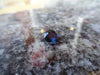 1.98ct DARK OCEAN BLUE MONTANA SAPPHIRE - Blaze-N-Gems