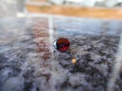 0.82ct PERFECT RED MONTANA GARNET - Blaze-N-Gems