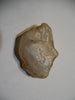 14.9g FLUORESCENT MONTANA CHALCEDONY - Blaze-N-Gems