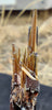 17.2 G EPITAXIAL RUTILE ON HEMATITE