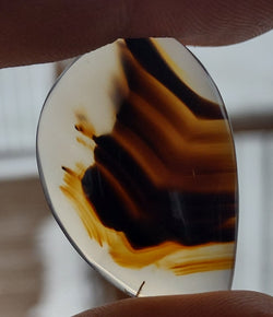 29 CT MONTANA AGATE CABOCHON