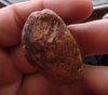 122 ct SUEVITE WITH SMALL AREAS OF FUSION CRUST