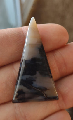 34.64 ct MONTANA AGATE FROM ELDORADO BAR