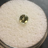 .51 CT. ROUND CUT LEAF GREEN 100% ALL NATURAL MONTANA SAPPHIRE - Blaze-N-Gems
