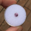 .70 RARE STRONG PINK MONTANA SAPPHIRE - Blaze-N-Gems