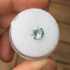 1.44 CT ICE BLUE MONTANA SAPPHIRE - Blaze-N-Gems