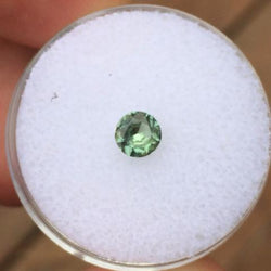 .46 CT FOREST GREEN MONTANA SAPPHIRE - Blaze-N-Gems