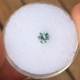 .56 CT BLUE MONTANA SAPPHIRE - Blaze-N-Gems