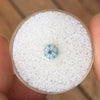.68 CT PASTEL BABY BLUE MONTANA SAPPHIRE - Blaze-N-Gems