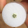 .70 CT YELLOW GREEN MONTANA SAPPHIRE - Blaze-N-Gems