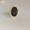 PETRIFIED WOOD FROM MONTANA IN STERLING SILVER RING. - Blaze-N-Gems