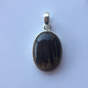 MONTANA PETRIFIED WOOD PENDANT SET IN .925 SILVER - Blaze-N-Gems