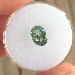 1.83 CT GREEN MONTANA SAPPHIRE - Blaze-N-Gems