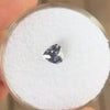 0.65 CT PURPLE TRILLION MONTANA SAPPHIRE - Blaze-N-Gems