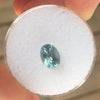 1.49 CT BLUE MONTANA SAPPHIRE - Blaze-N-Gems