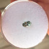 .43 CT LIGHT GREEN MONTANA SAPPHIRE - Blaze-N-Gems