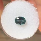 1.21 CT DARK BLUE-GREEN ALL NATURAL MONTANA SAPPHIRE - Blaze-N-Gems