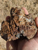 Muonionalusta Meteorite, 1,984 grams. With troilite or stishovite inclusions? - Blaze-N-Gems