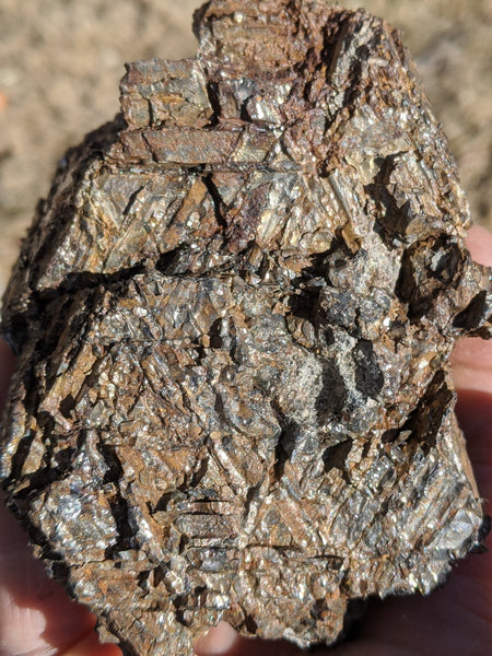 Muonionalusta Meteorite, 1,984 grams. With troilite or stishovite inclusions? - Blaze-N-Gems