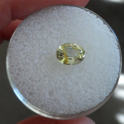 1.28cts. VERY RARE GOLDEN YELLOW COLOR, MONTANA SAPPHIRE - Blaze-N-Gems